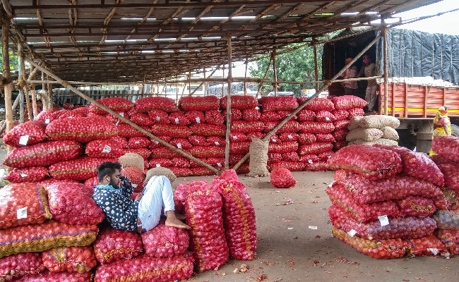 Onion growers' body seeks Rs 1 lakh per acre for crop damage due to rains